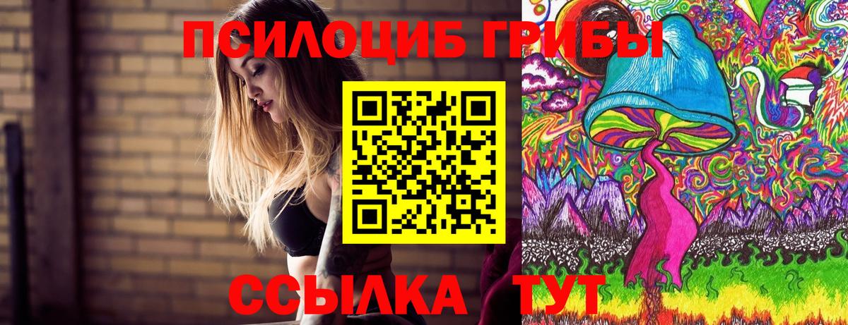 Псилоцибиновые грибы мухоморы Воркута
