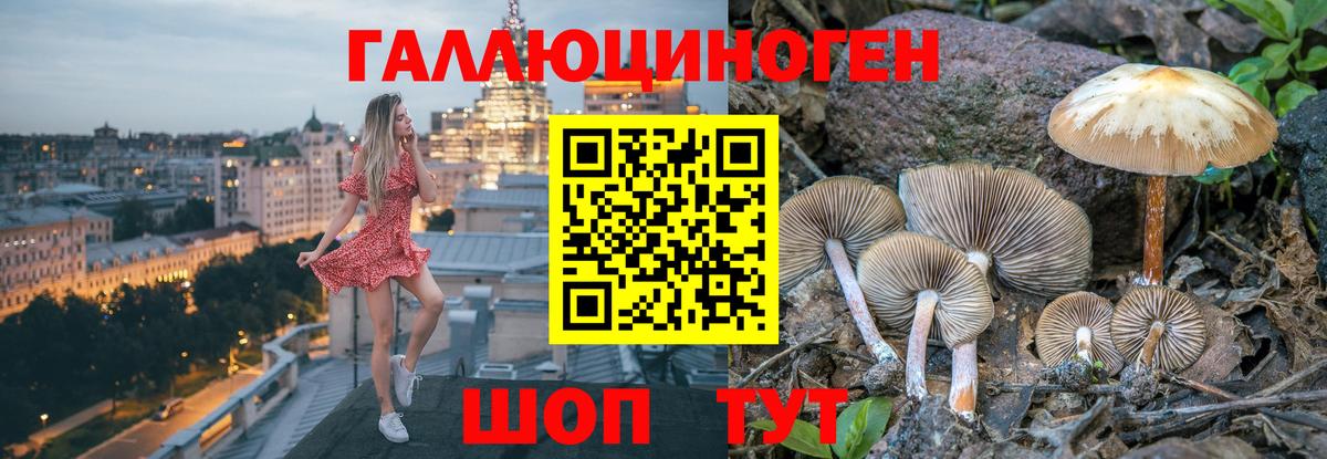 Воркута  где найти наркотики  Вход с VPN  Псилоцибиновые грибы MAGIC MUSHROOMS 